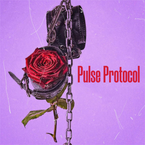 Pulse Protocol