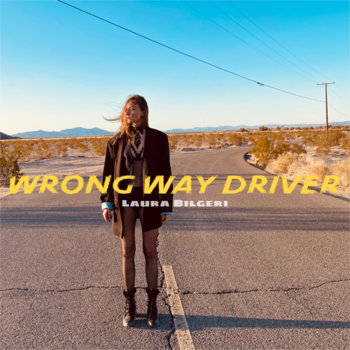 Wrong Way Driver