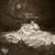 Starfall: The Ruin of Arivor