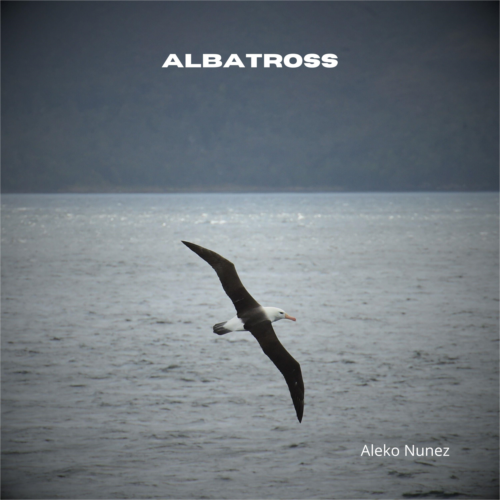 Albatross (Arr. for Guitar)