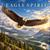 Eagle Spirit