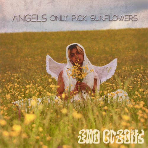 Angels Only Pick Sunflowers