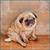 unhappy