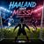Haaland oder Messi?