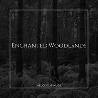 Enchanted Woodlands