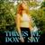 Things We Don't Say