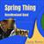 Spring Thing (Jazzy Remix)