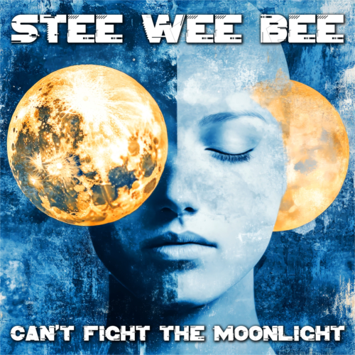 Can't Fight The Moonlight
