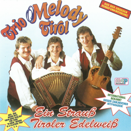 Ein Strauß Tiroler Edelweiß