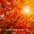 Beautiful Calming Classical Music